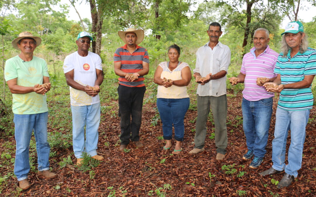 agricultura familiar, povos e comunidades tradicionais representa uma rede de culturas, histórias, dedicação e um compromisso profundo com a terra e a natureza.