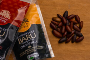 Castanha de Baru do Empório do Cerrado