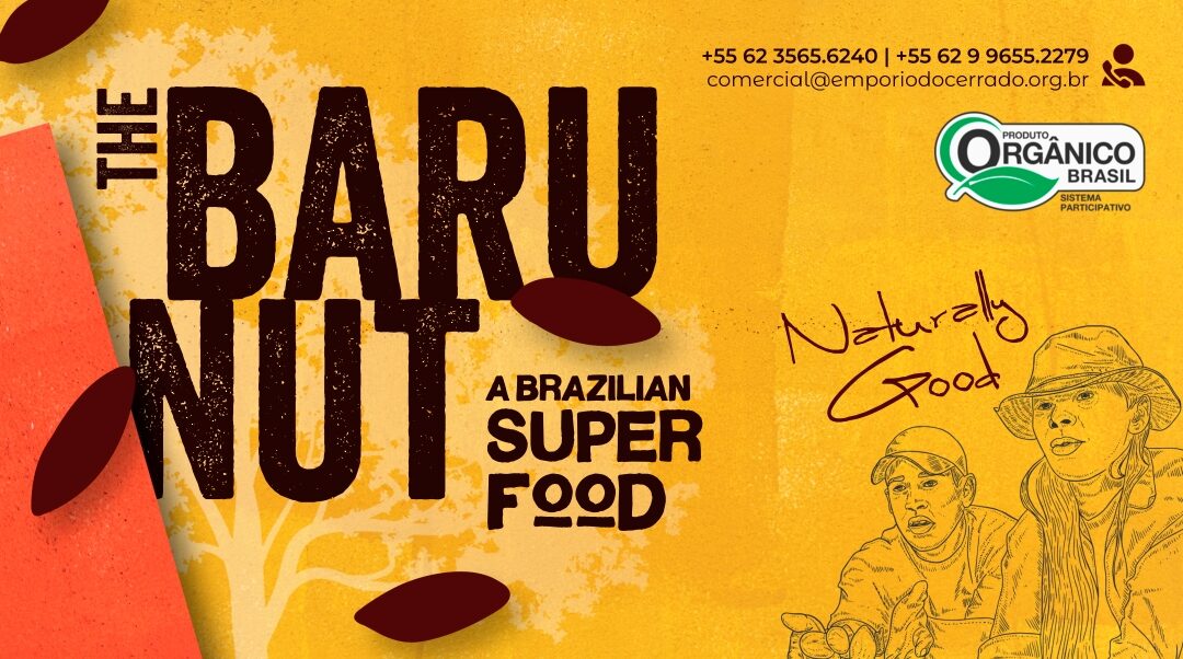 Baru nut - brazilian superfood from the cerrado